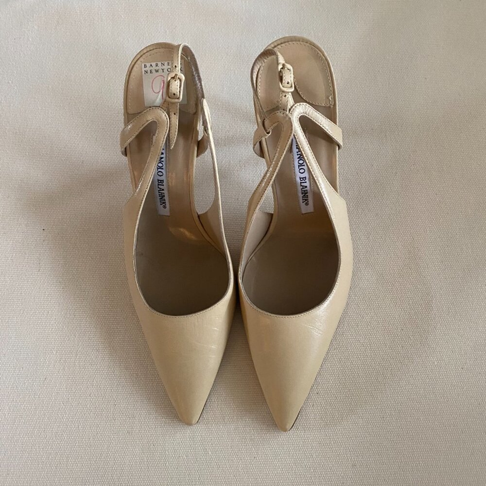 COPY - Manolo Blahnik, Clitemnapla Heels